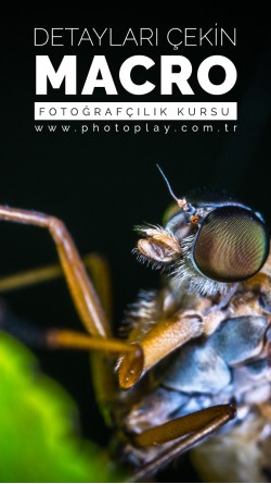 Macro Fotoğrafçılık Kursu