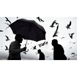Sokak Fotoğrafçılığı Kursu